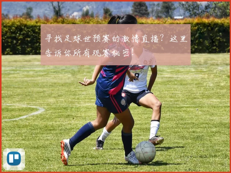 寻找足球世预赛的激情直播？这里告诉你所有观赛秘密！